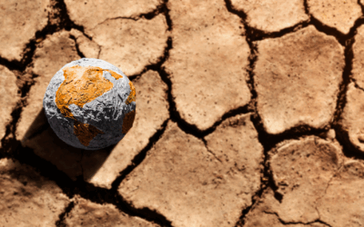 Escola Soberania e Clima anuncia 2ª edição do curso sobre mudança do clima e segurança nacional